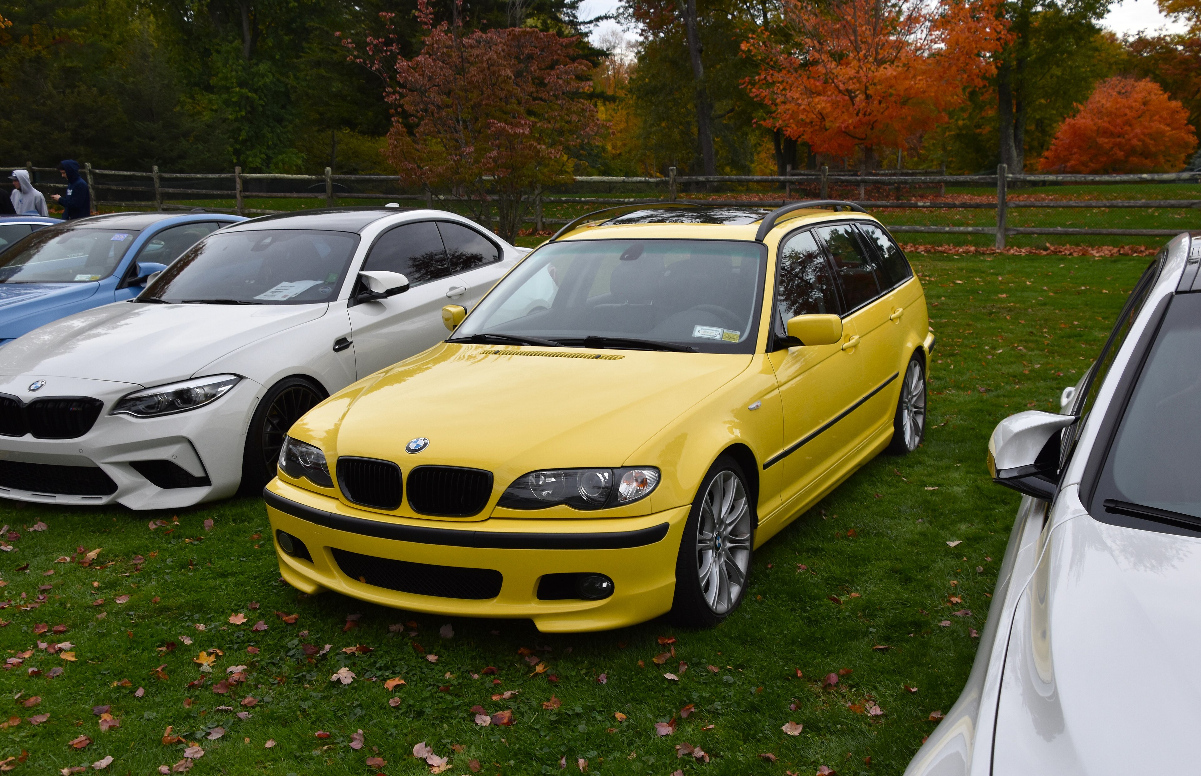 Dakar Yellow BMW 325xi E46 Touring photographed at an autumn car gathering