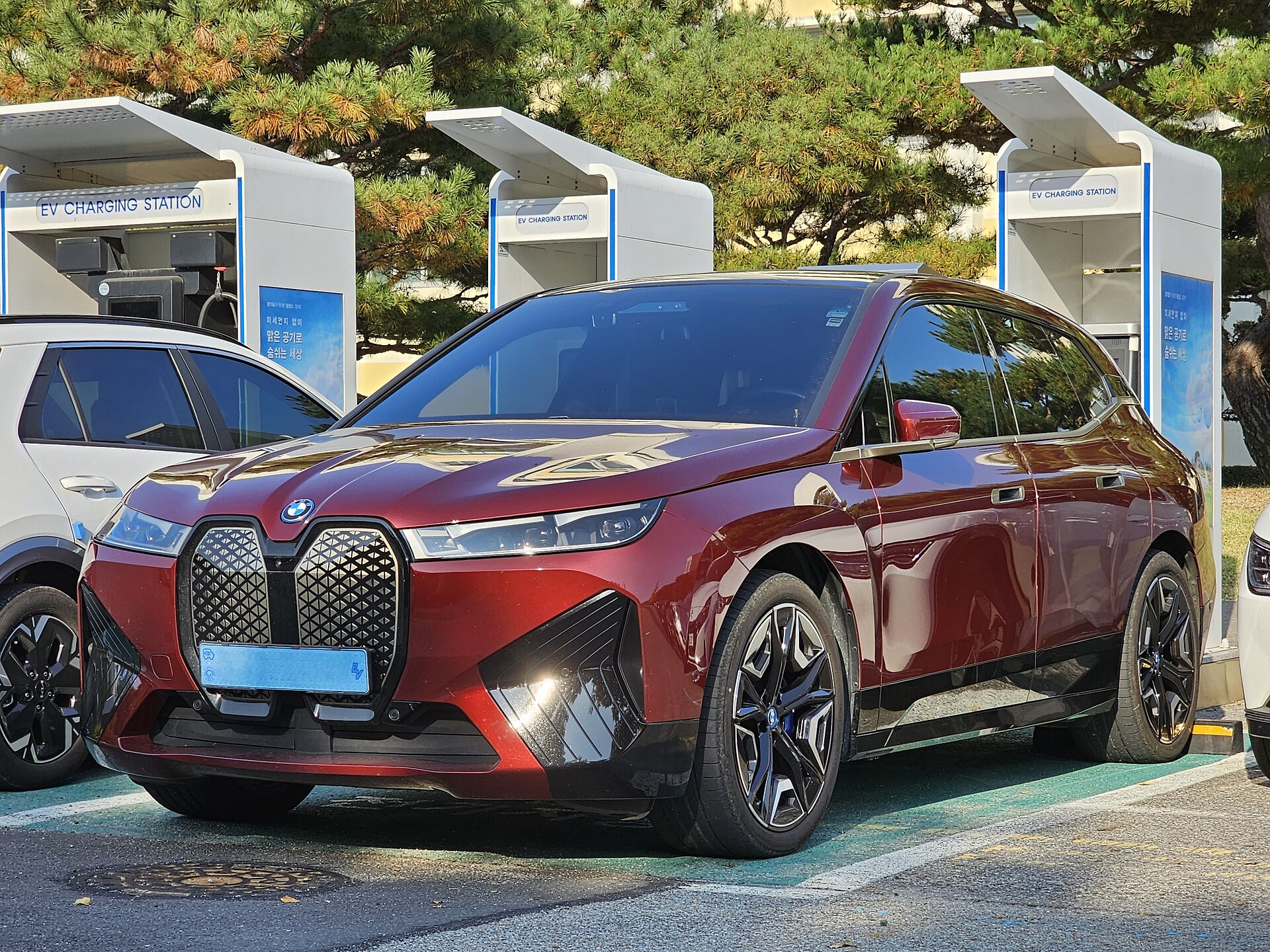 iX I20 Sports Activity Vehicle in a real licensed photograph