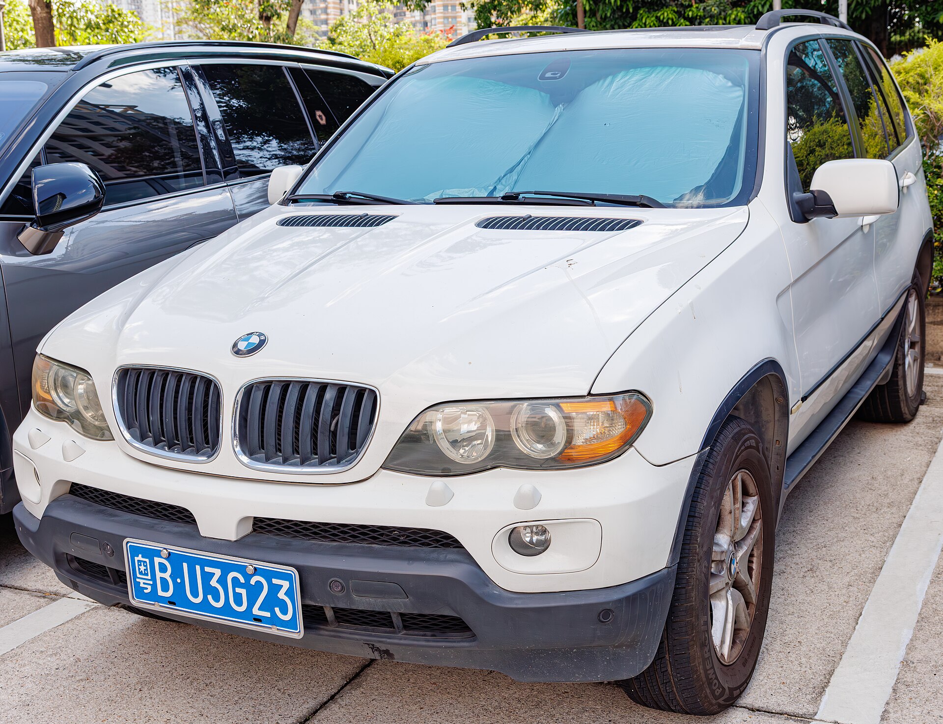 X5 E53 Sports Activity Vehicle in a real licensed photograph