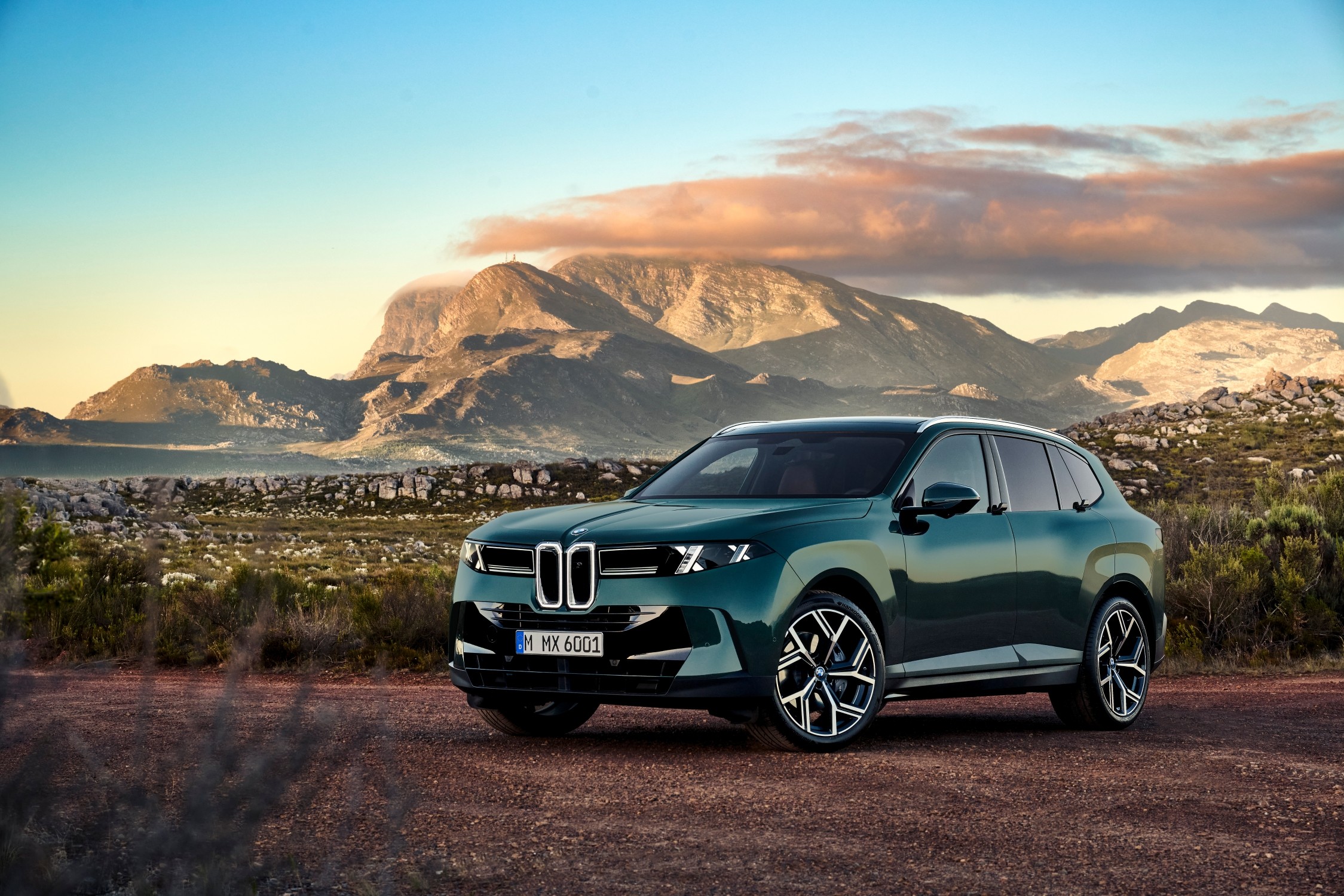Green fifth-generation BMW X5 G65 in the official front three-quarter launch photograph